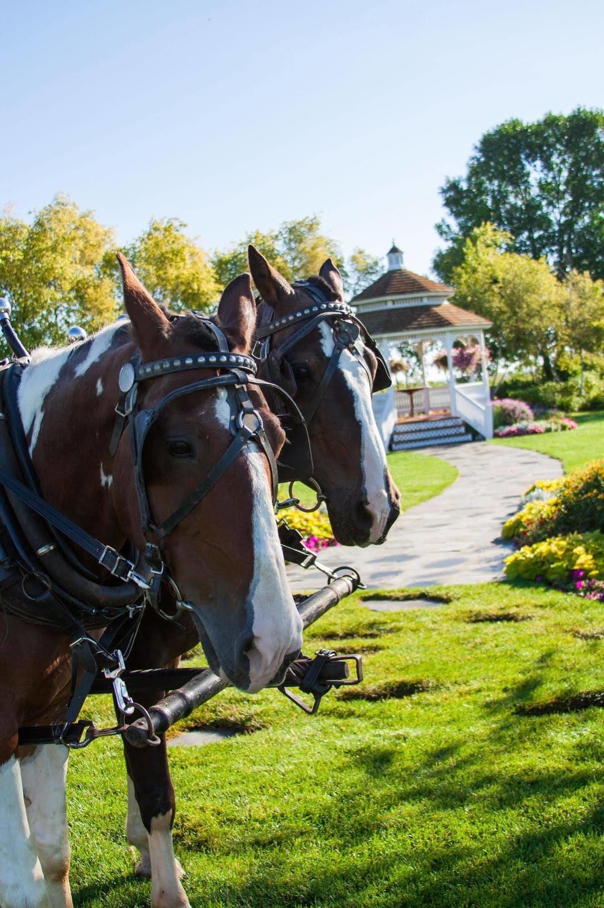 Mission Point Resort Mackinac Island Luaran gambar